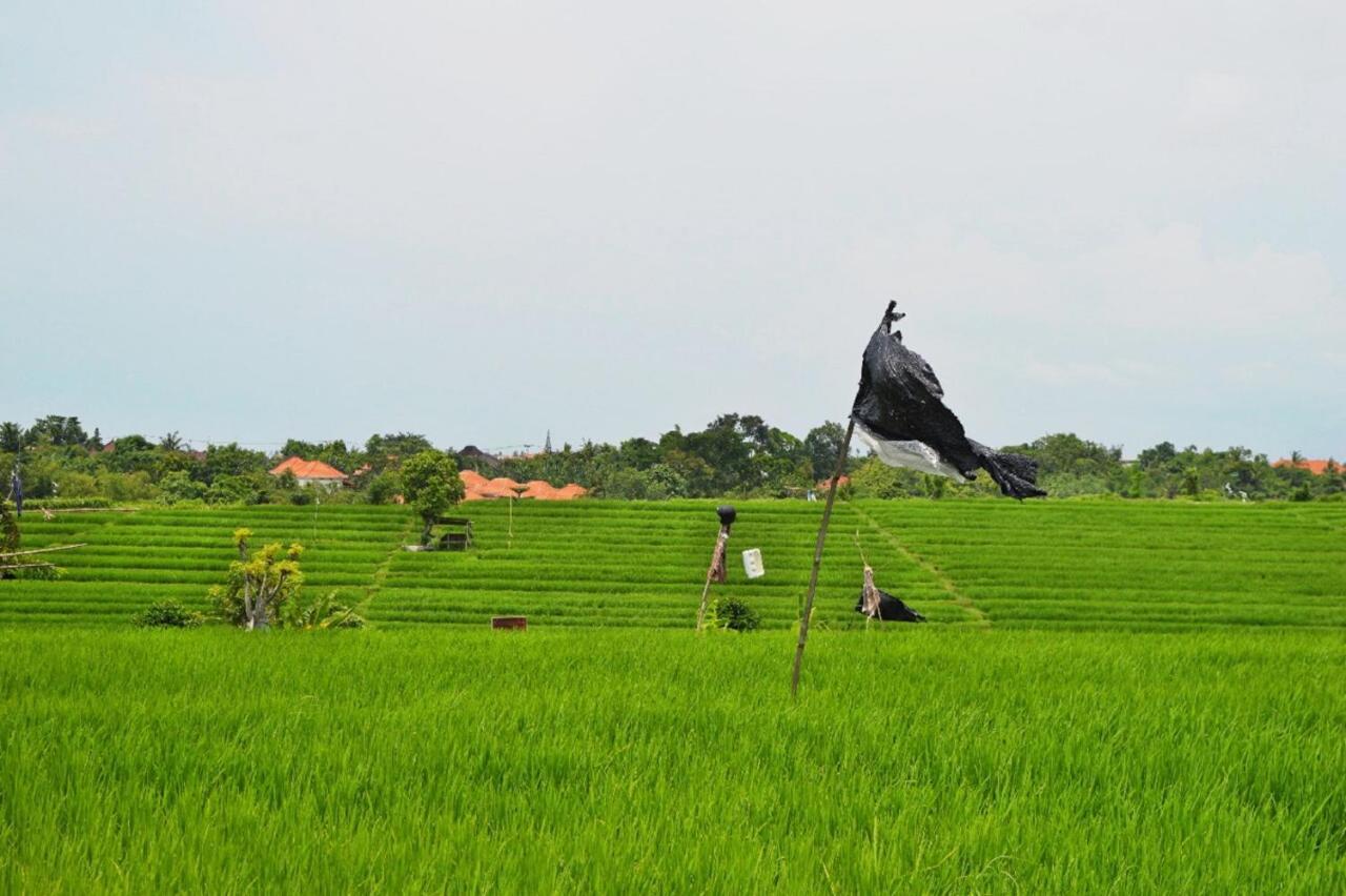 The Bali Dream Villa & Resort Echo Beach Canggu Eksteriør billede